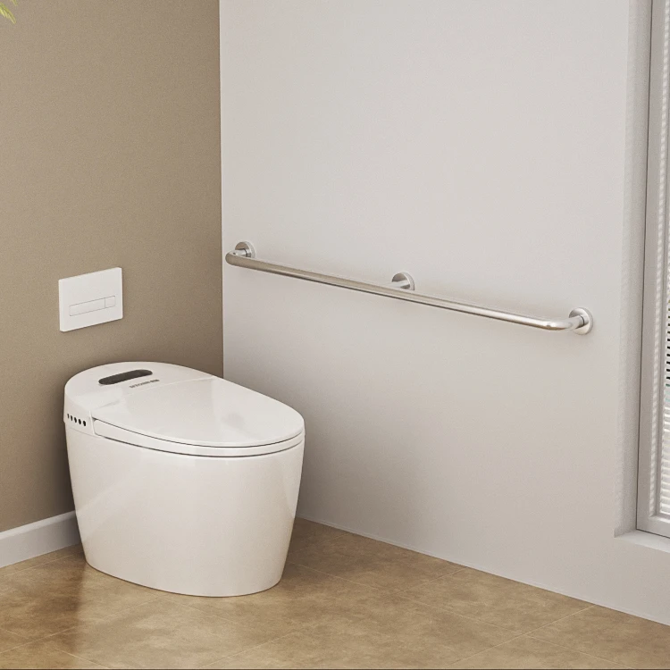 Wall-Mounted Safety Grab Bars